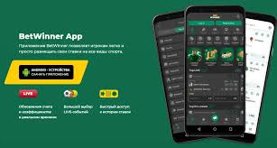 Guide to BetWinner Withdrawals Your Complete Overview